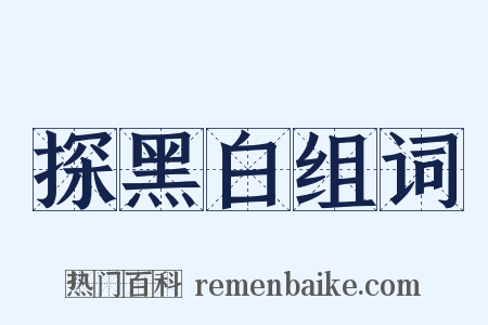 探黑白组词是什么意思的图片